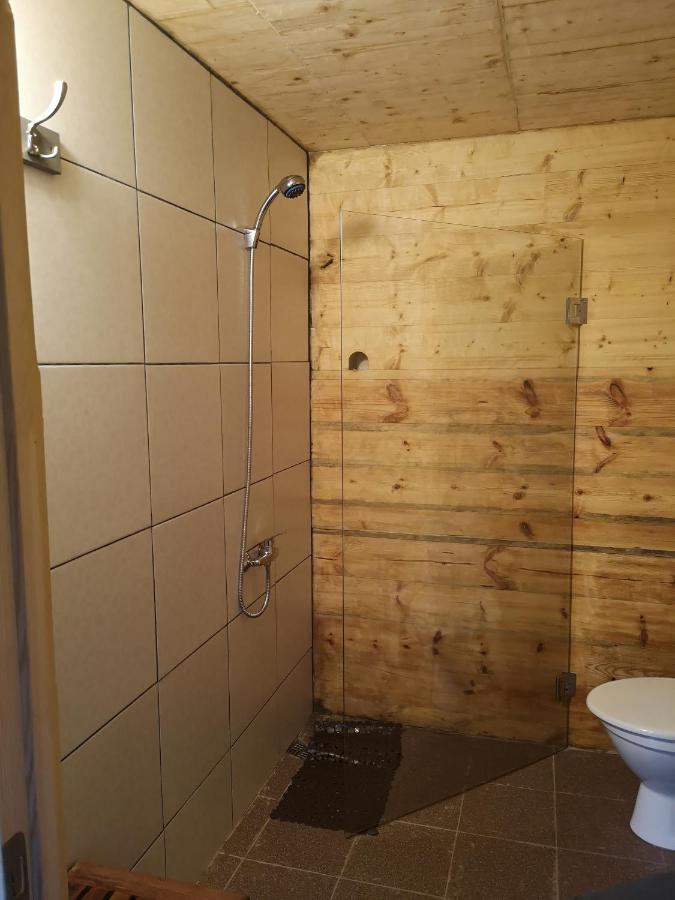 Brivdienu Maja "Raudini" Kaltene Exteriör bild