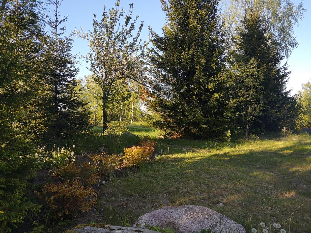 Brivdienu Maja "Raudini" Kaltene Exteriör bild