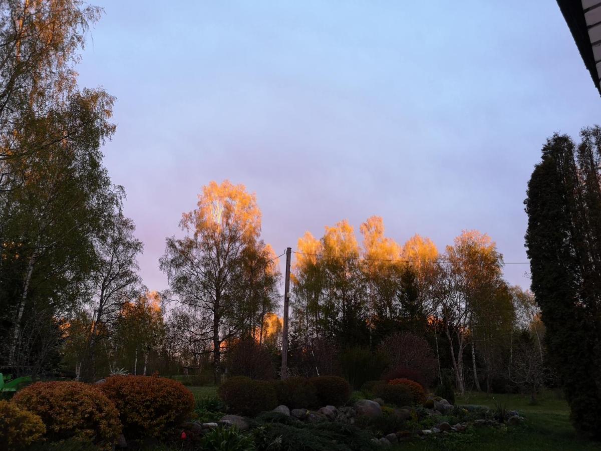 Brivdienu Maja "Raudini" Kaltene Exteriör bild