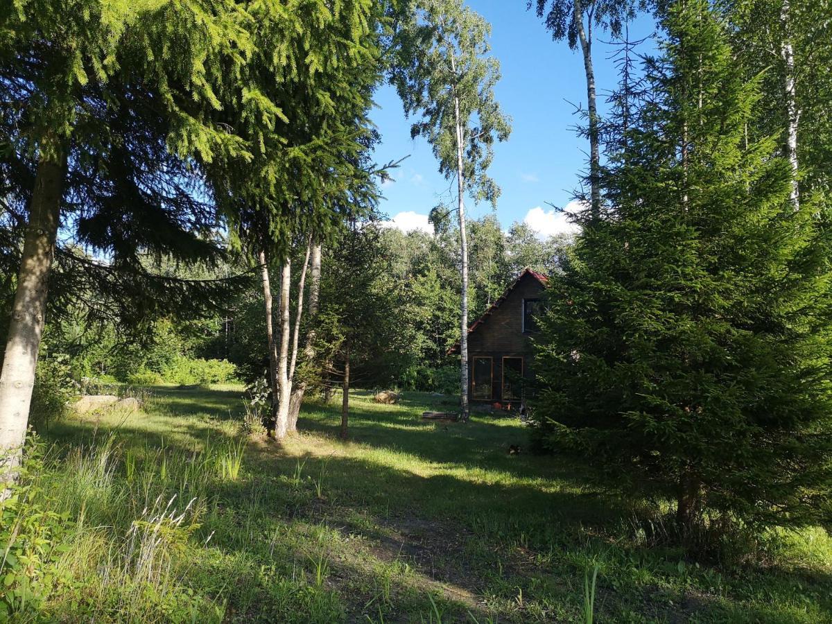 Brivdienu Maja "Raudini" Kaltene Exteriör bild