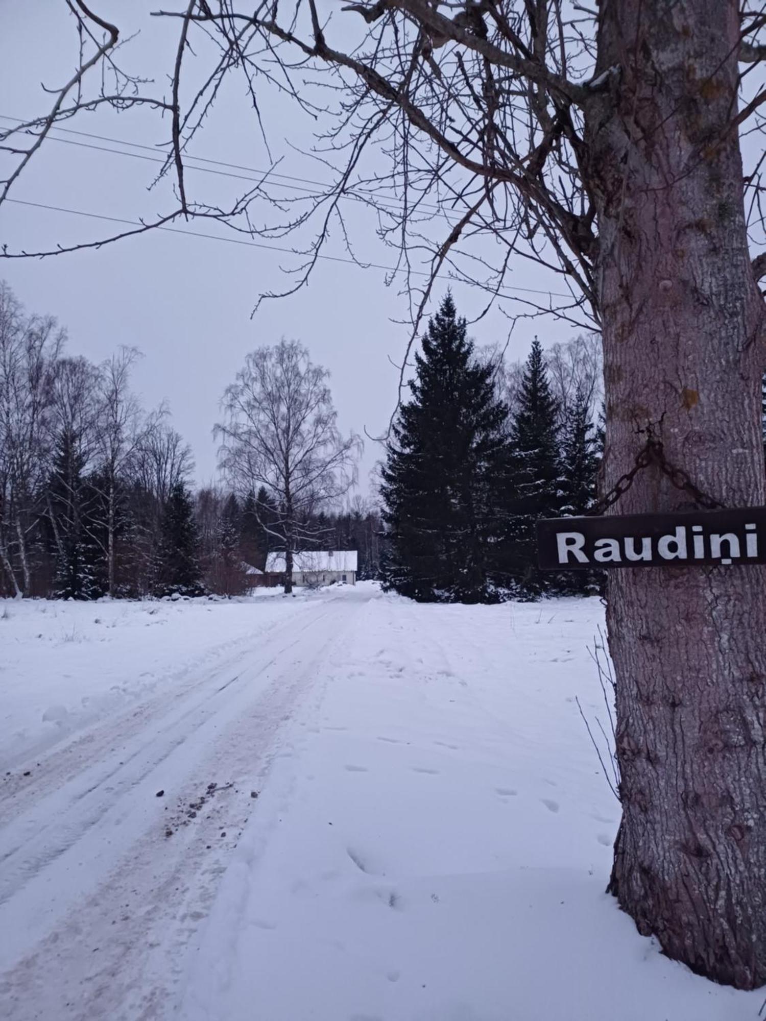 Brivdienu Maja "Raudini" Kaltene Exteriör bild