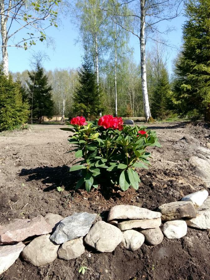 Brivdienu Maja "Raudini" Kaltene Exteriör bild