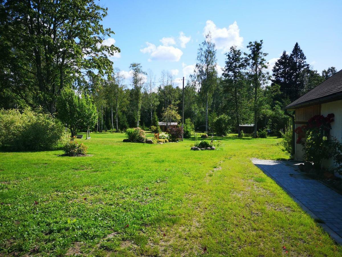 Brivdienu Maja "Raudini" Kaltene Exteriör bild
